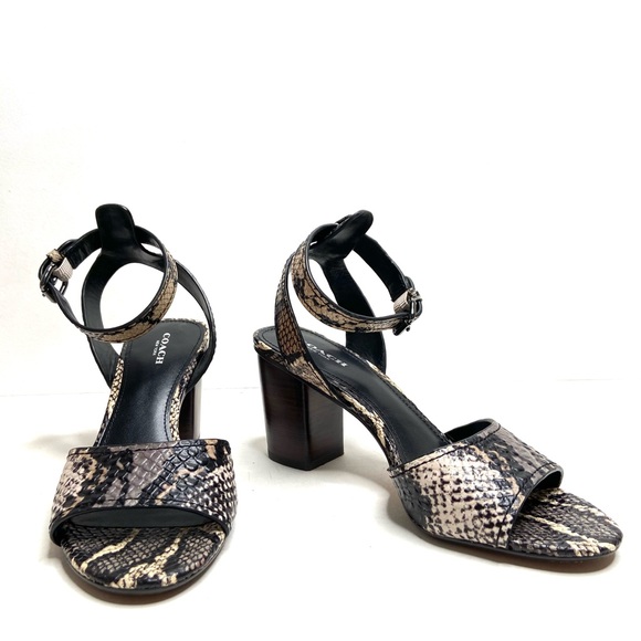 COACH “Pipher” Leather Ankle Strap Block Heel Sandal - Picture 6 of 16